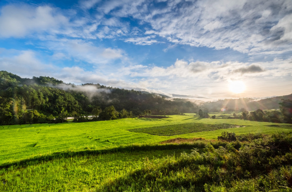 Delegación de expertos y empresarios de la Provincia de Córdoba (España) refuerza la cooperación territorial con visita institucional a Colombia
